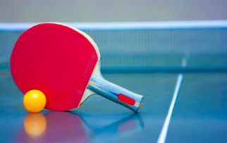 經(jīng)常參加乒乓球運(yùn)動(dòng)對(duì)人體有哪些好處