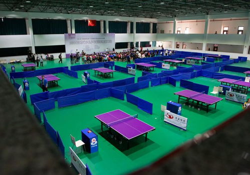 乒乓小將龍川競技 2021年江蘇省少兒乒乓球冠軍賽開幕，網絡競技球掀起新熱潮